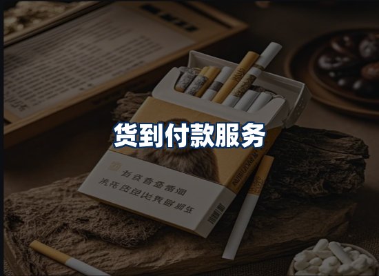 专业团队办公环境